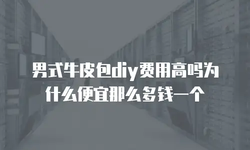 男式牛皮包diy费用高吗为什么便宜那么多钱一个