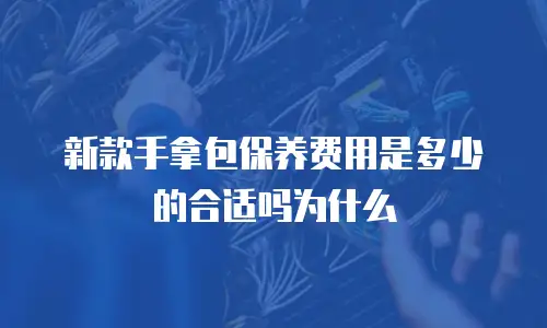 新款手拿包保养费用是多少的合适吗为什么