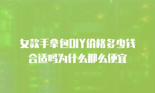 女款手拿包DIY价格多少钱合适吗为什么那么便宜