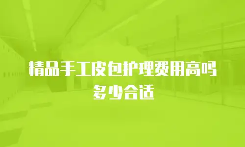 精品手工皮包护理费用高吗多少合适
