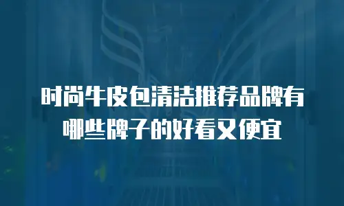 时尚牛皮包清洁推荐品牌有哪些牌子的好看又便宜