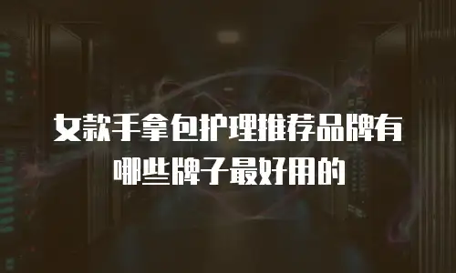女款手拿包护理推荐品牌有哪些牌子最好用的