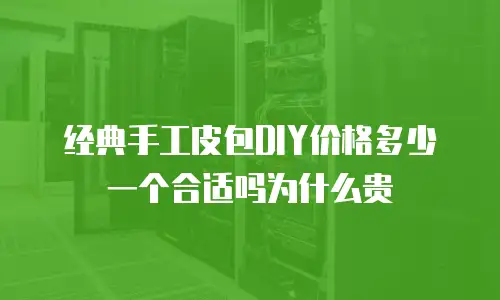 经典手工皮包DIY价格多少一个合适吗为什么贵