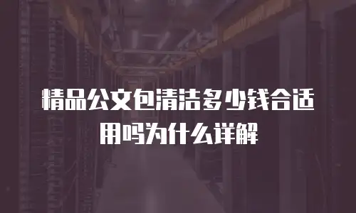 精品公文包清洁多少钱合适用吗为什么详解