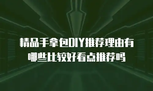 精品手拿包DIY推荐理由有哪些比较好看点推荐吗