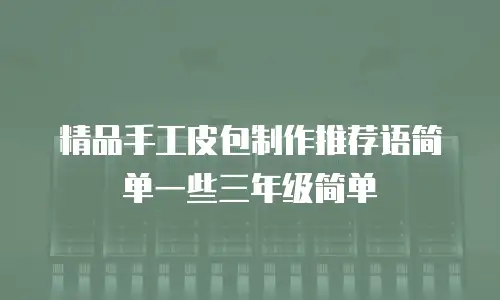 精品手工皮包制作推荐语简单一些三年级简单