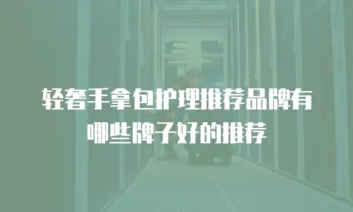 轻奢手拿包护理推荐品牌有哪些牌子好的推荐