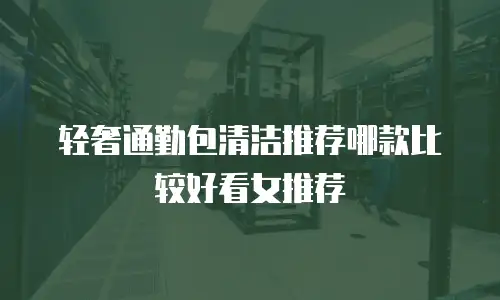 轻奢通勤包清洁推荐哪款比较好看女推荐