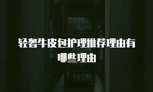轻奢牛皮包护理推荐理由有哪些理由