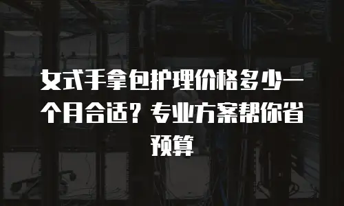 女式手拿包护理价格多少一个月合适？专业方案帮你省预算
