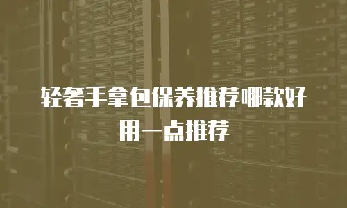 轻奢手拿包保养推荐哪款好用一点推荐