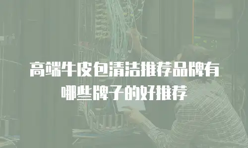 高端牛皮包清洁推荐品牌有哪些牌子的好推荐