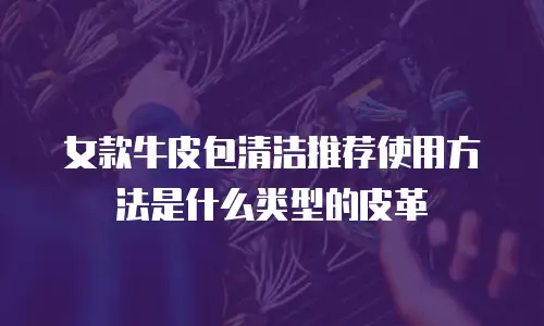 女款牛皮包清洁推荐使用方法是什么类型的皮革