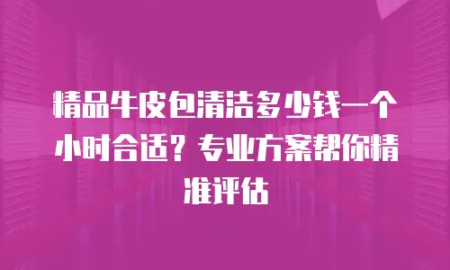 精品牛皮包清洁多少钱一个小时合适？专业方案帮你精准评估