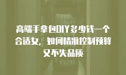 高端手拿包DIY多少钱一个合适女，如何精准控制预算又不失品质