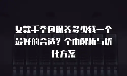 女款手拿包保养多少钱一个最好的合适？全面解析与优化方案