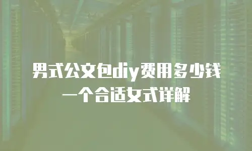 男式公文包diy费用多少钱一个合适女式详解