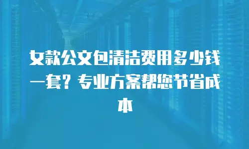 女款公文包清洁费用多少钱一套？专业方案帮您节省成本