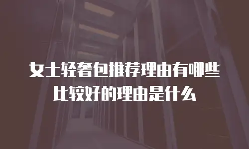 女士轻奢包推荐理由有哪些比较好的理由是什么
