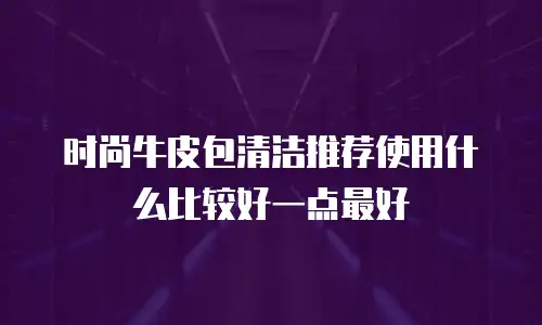 时尚牛皮包清洁推荐使用什么比较好一点最好