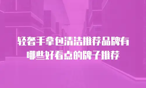 轻奢手拿包清洁推荐品牌有哪些好看点的牌子推荐