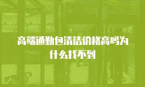 高端通勤包清洁价格高吗为什么找不到