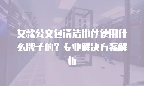 女款公文包清洁推荐使用什么牌子的？专业解决方案解析