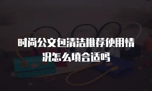 时尚公文包清洁推荐使用情况怎么填合适吗
