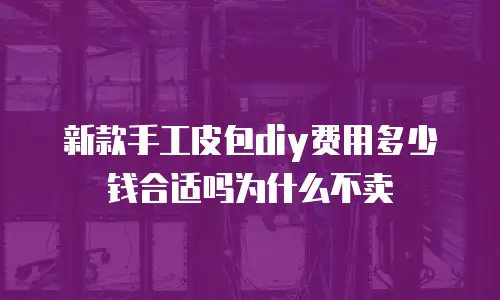 新款手工皮包diy费用多少钱合适吗为什么不卖