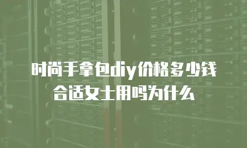 时尚手拿包diy价格多少钱合适女士用吗为什么