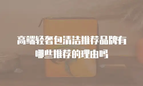 高端轻奢包清洁推荐品牌有哪些推荐的理由吗