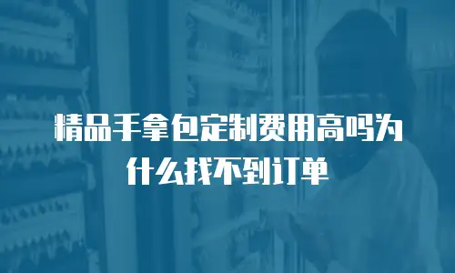 精品手拿包定制费用高吗为什么找不到订单