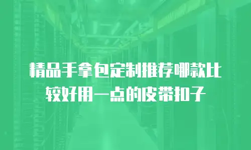 精品手拿包定制推荐哪款比较好用一点的皮带扣子