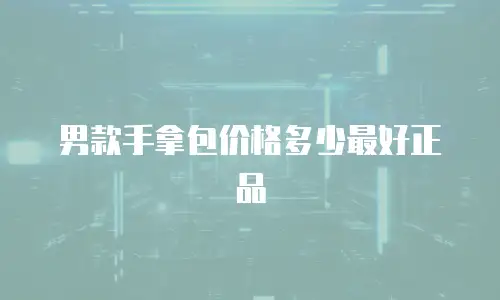 男款手拿包价格多少最好正品