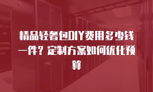 精品轻奢包DIY费用多少钱一件？定制方案如何优化预算