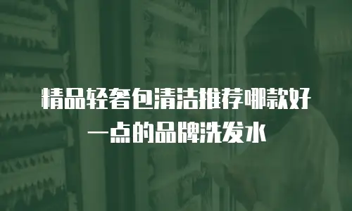 精品轻奢包清洁推荐哪款好一点的品牌洗发水