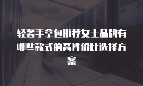 轻奢手拿包推荐女士品牌有哪些款式的高性价比选择方案