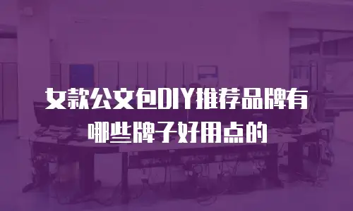 女款公文包DIY推荐品牌有哪些牌子好用点的