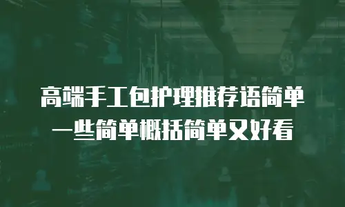高端手工包护理推荐语简单一些简单概括简单又好看