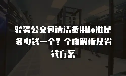 轻奢公文包清洁费用标准是多少钱一个？全面解析及省钱方案