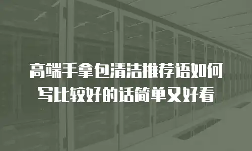 高端手拿包清洁推荐语如何写比较好的话简单又好看