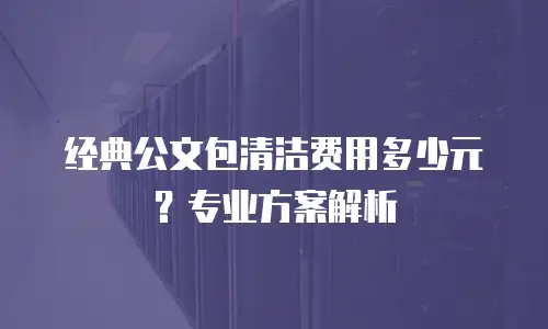 经典公文包清洁费用多少元？专业方案解析