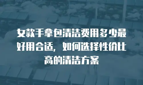 女款手拿包清洁费用多少最好用合适，如何选择性价比高的清洁方案