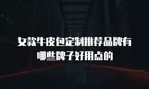 女款牛皮包定制推荐品牌有哪些牌子好用点的