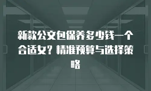 新款公文包保养多少钱一个合适女？精准预算与选择策略