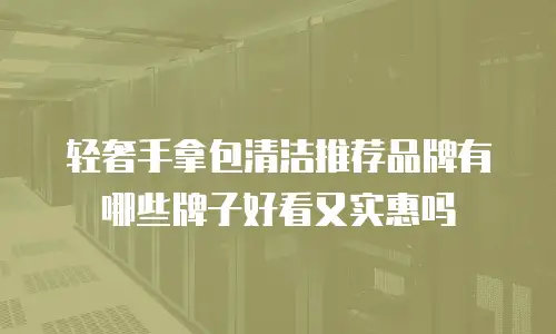 轻奢手拿包清洁推荐品牌有哪些牌子好看又实惠吗