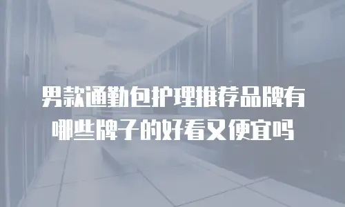 男款通勤包护理推荐品牌有哪些牌子的好看又便宜吗