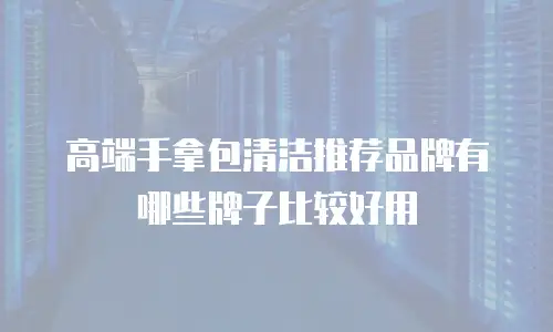 高端手拿包清洁推荐品牌有哪些牌子比较好用