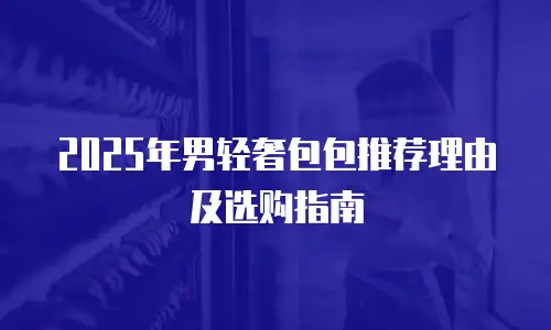 2025年男轻奢包包推荐理由及选购指南