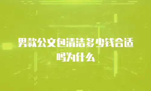 男款公文包清洁多少钱合适吗为什么